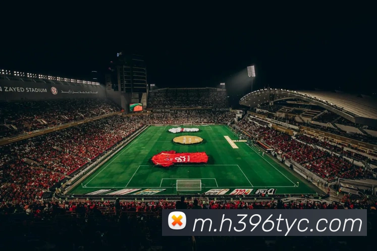 太阳成APP 封面图